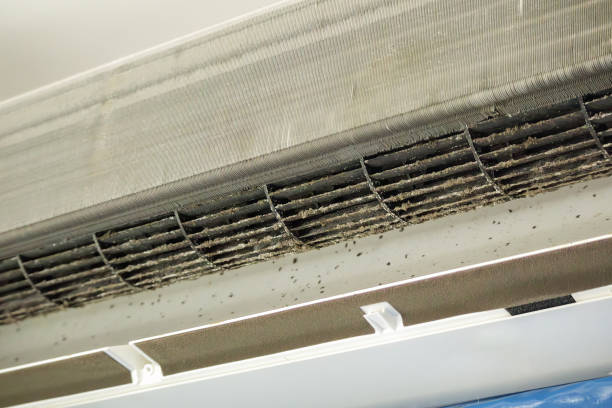 Best Air Duct Cleaning Company Near Me  in Dallesport, WA